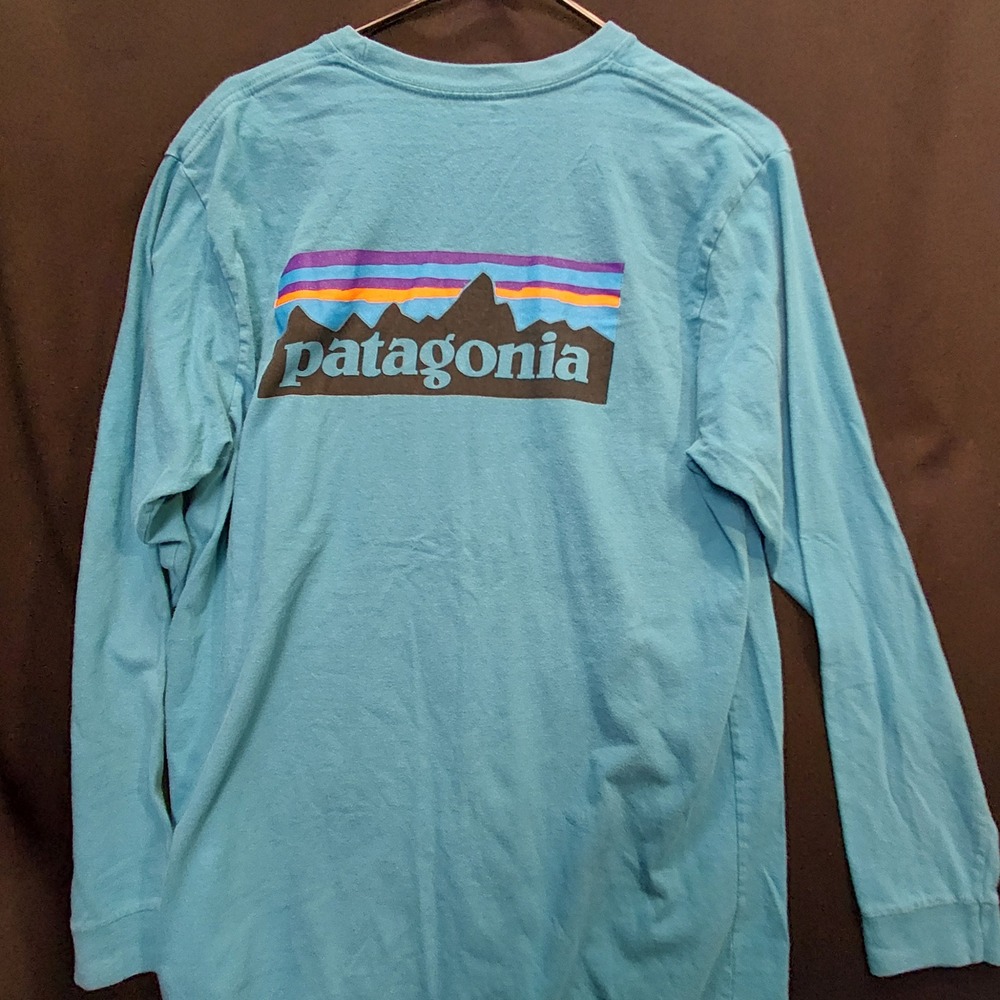 Patagonia Mens Blue Organic Cotton Long Sleeve Fitz Roy Logo T-Shirt STY38933 L